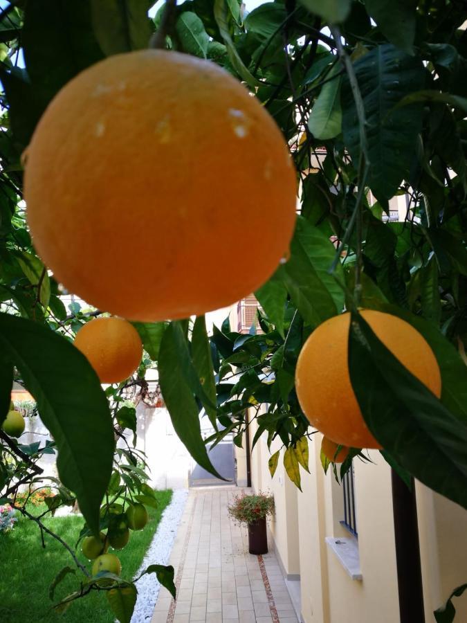 Al Chiaro Di Luna